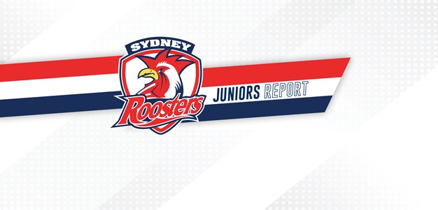 Juniors Report Round 6: SG Ball Roosters Rise to Second