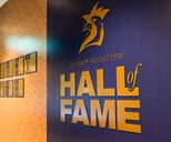 Hall of Fame Selection Committee Confirmed