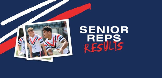 Seniors Report Round 4: Flegg Punish Panthers